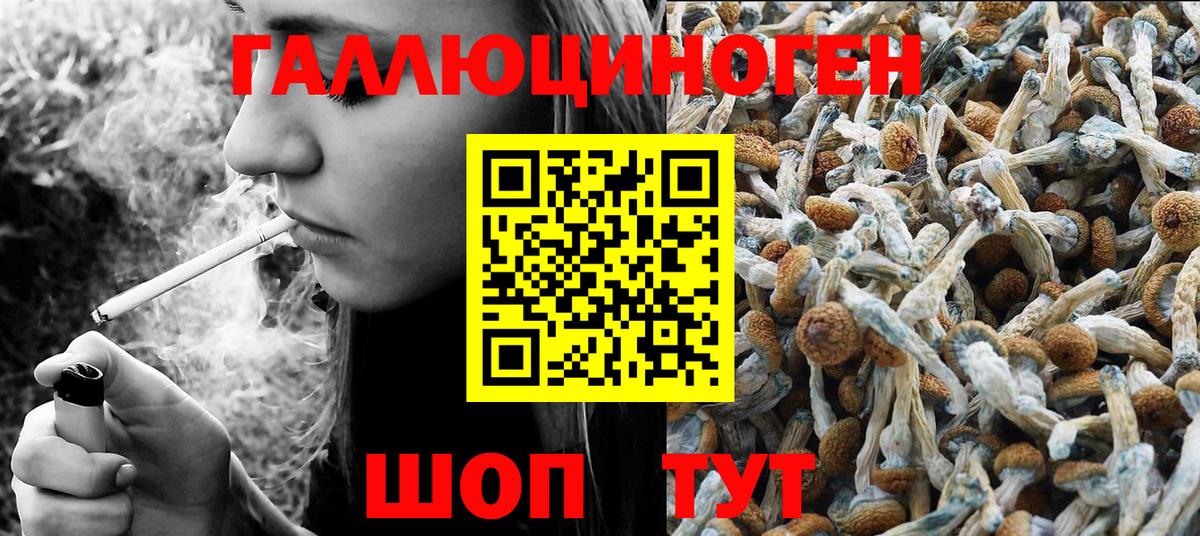 Псилоцибиновые грибы MAGIC MUSHROOMS  Вход с VPN  Реутов  Галлюциногенные грибы MAGIC MUSHROOMS 