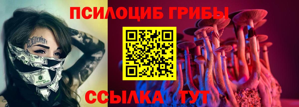 Псилоцибиновые грибы Magic Shrooms Реутов